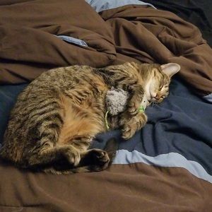 Meet your Posher, Dawn